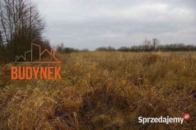 Działka rolna Darłowo Sprzedaż