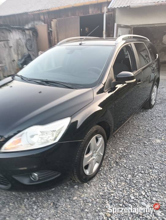 Ford Focus Staszów