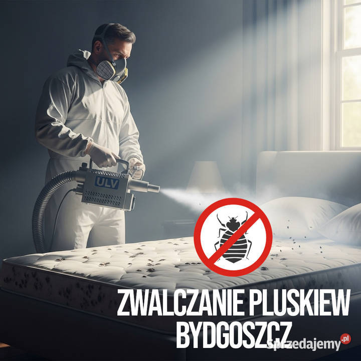 Zwalczanie pluskiew Bydgoszcz Odpluskwianie