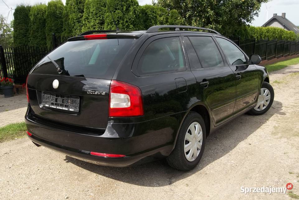 Skoda Octavia 19 TDI 105 Iława