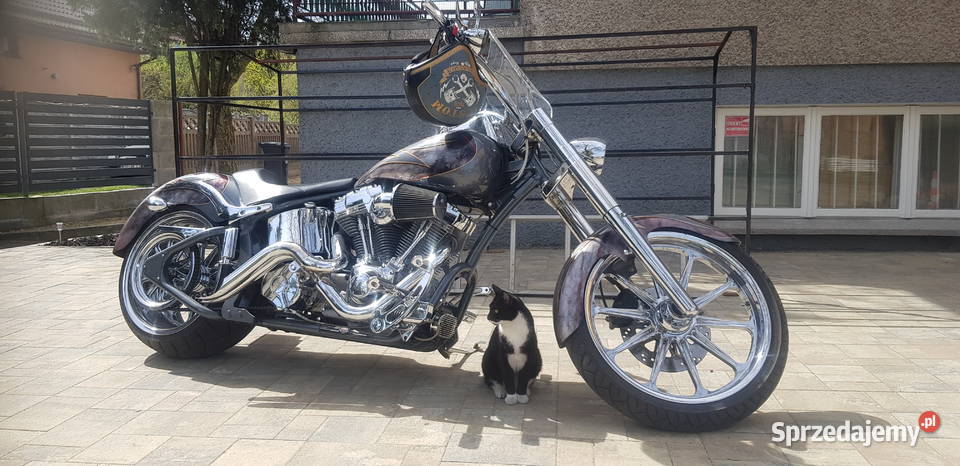 Harley Custom Cruiser Chopper Thunder Mountain 143KM Motocykle, skutery, quady Poraj