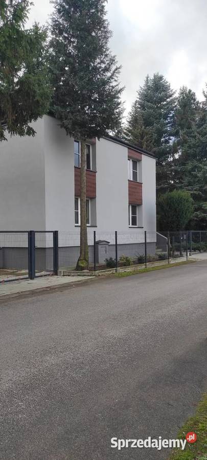 Zadbane siedlisko z 2 oddzielnymi budynkmi kujawsko-pomorskie sprzedam