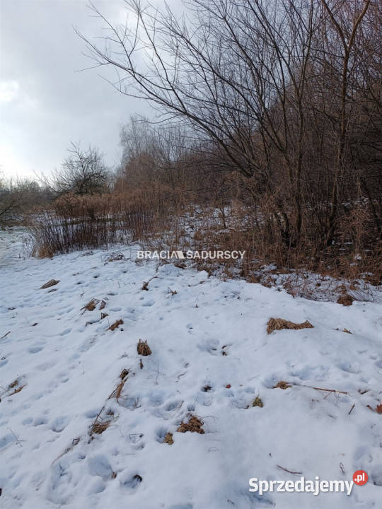 sprzedaży działki 9900m2 Czarnochowice