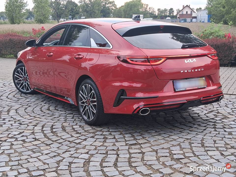 Kia ProCeed GT LINE 16T 204 FULL LED Panorama tempomat Słupca