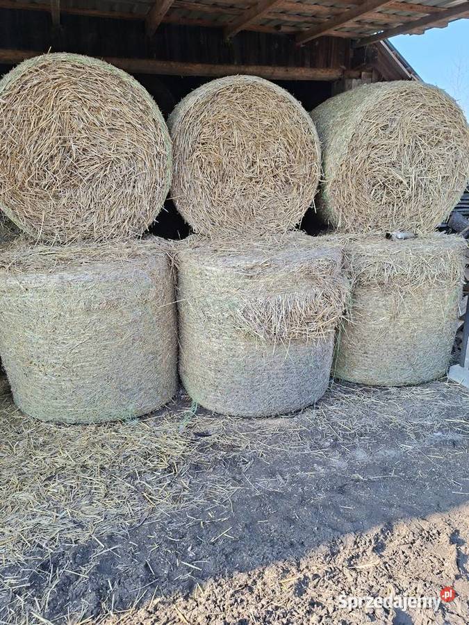 baloty słomy Sieniawa sprzedam
