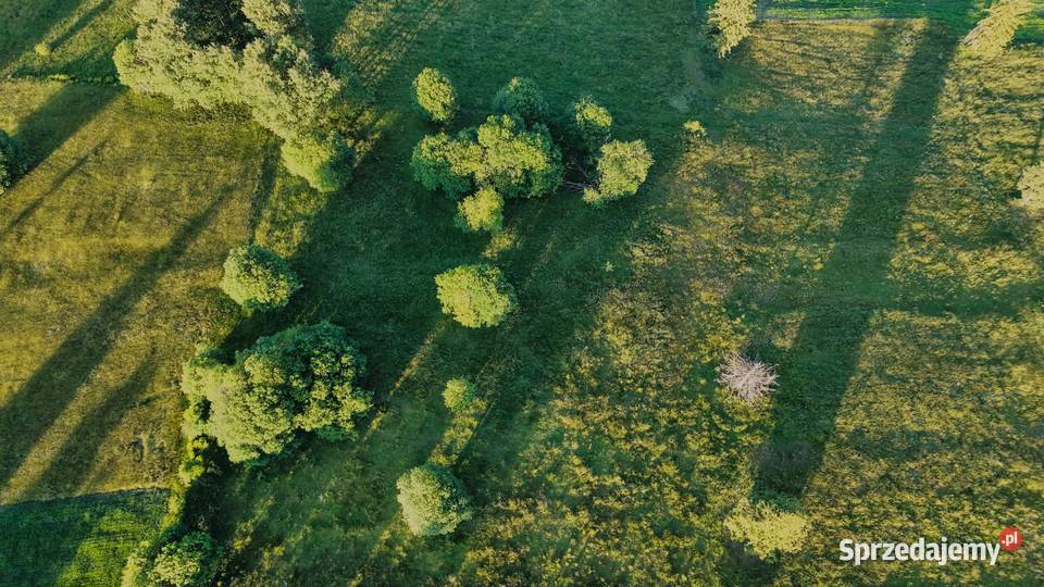 Widokowa działka z potencjałem inwestycyjnym Chochołów