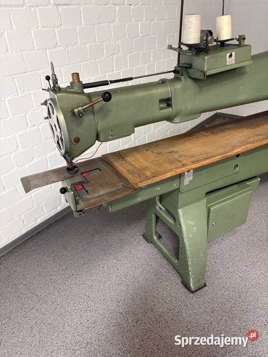 Pikowarka Mammut Szczecin