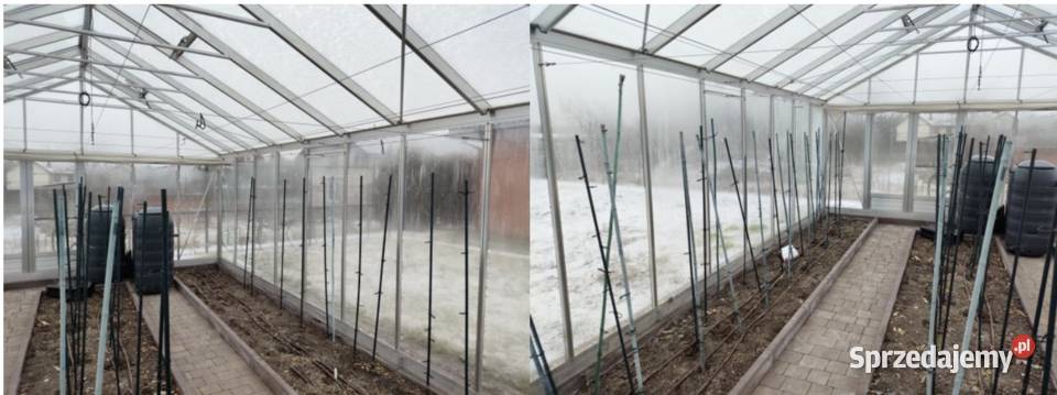 Szklarnia udział 12 śląskie Częstochowa
