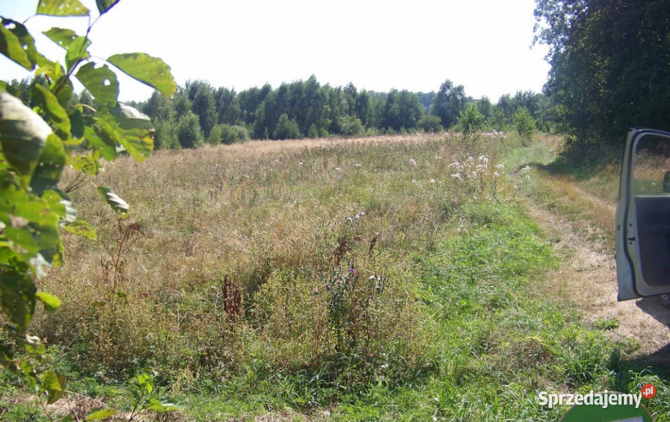 Sprzedam działkę Lipiny