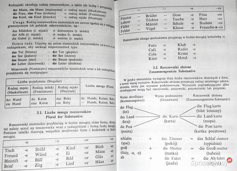 Grammatik Kein Problem Cz 1 E Reymont E Tomiczek