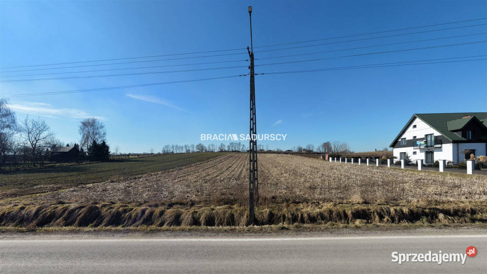 Działka 5013m2 Klimontów 79zł/m2 sprzedam