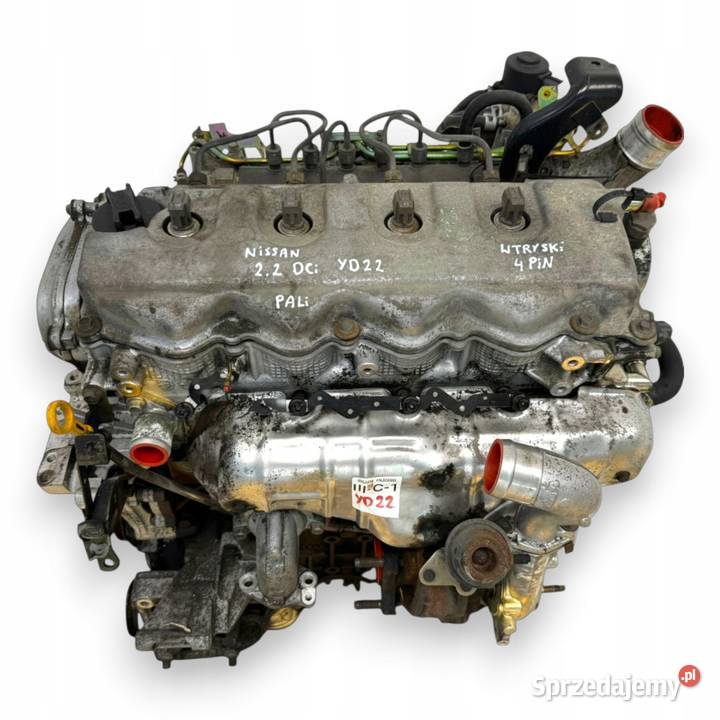 SILNIK YD22 Nissan XTrail Primera P12 22 DCI 136 Chełm sprzedam