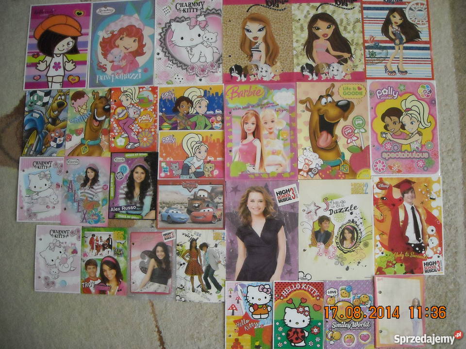 Karteczki 231 3segregatory Pozostałe Jasło