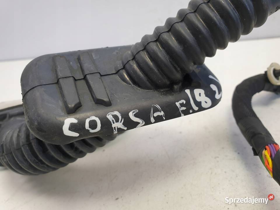 Opel Corsa F WIĄZKA DRZWI lewy przód 9835931880 lubelskie Rudka