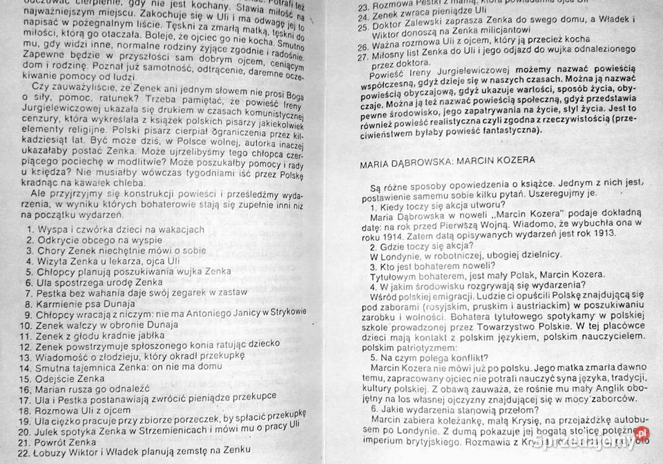 Opmówienie lektur szkolnych klasy 6 szkoły lubelskie Chełm sprzedam