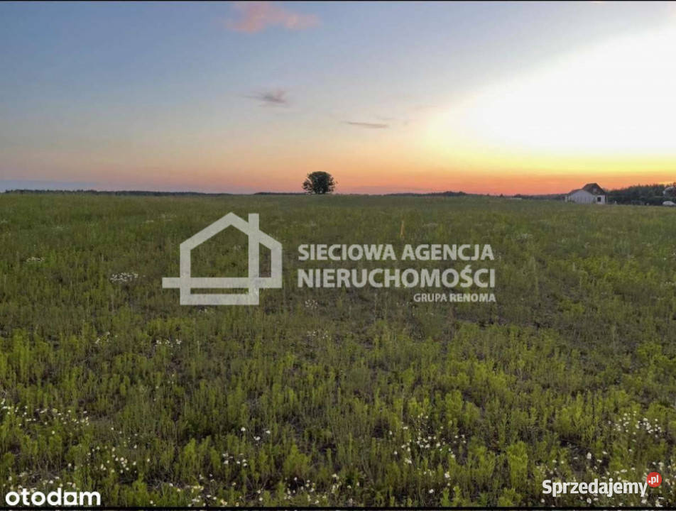 sprzedaży gruntu Niesiołowice 1500m2 1500m2