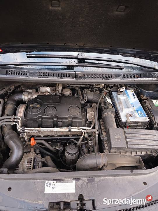 Sprzedam volkswagen golf plus Rok produkcji 2008 Stary Sącz