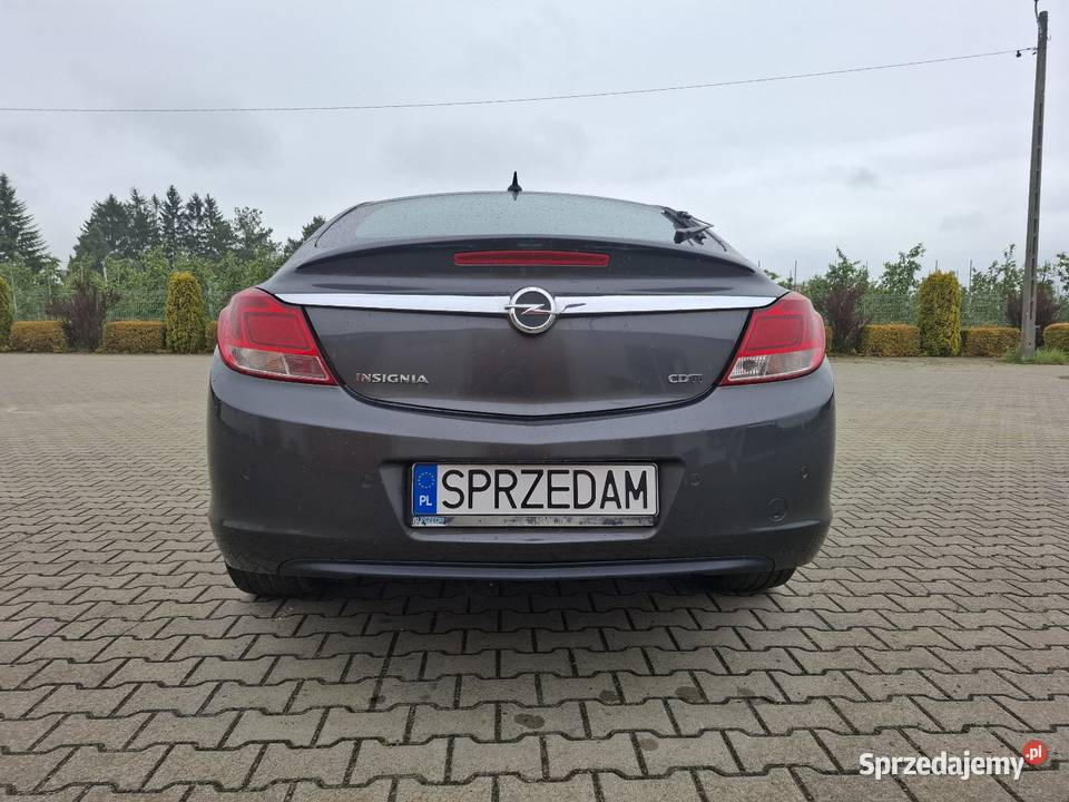 Opel Insignia 20 CDTI 160 SRI Salon Polska kupiony w polskim salonie Belsk Duży