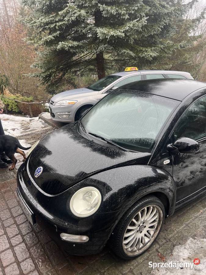 Volkswagen Beetle Golkowice