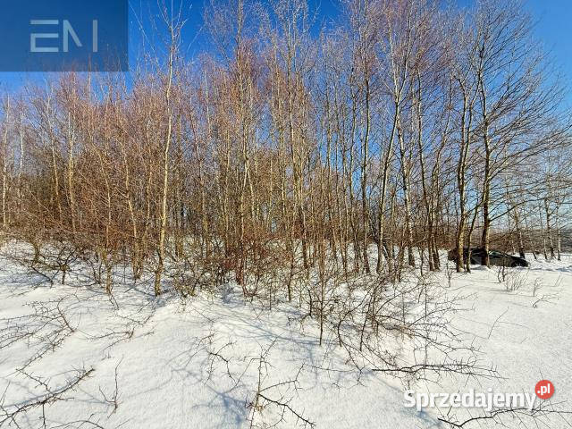 Grunt 4700m2 Gwoźnica Górna podkarpackie sprzedam