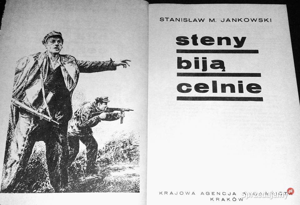 Steny biją celnie Stanisław Maria Jankowski Chełm
