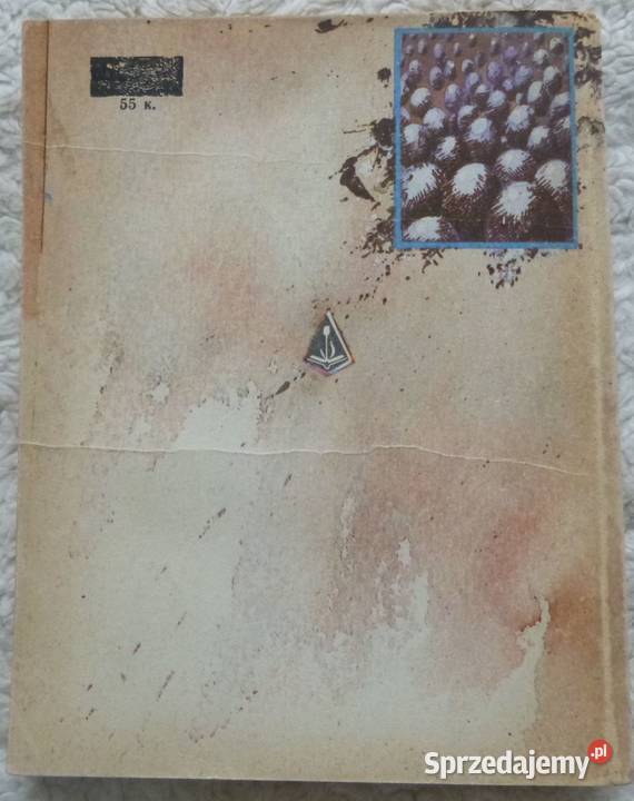 Zagadka Rene Opowiadania sf Chodżyakbar Szaichow Warszawa sprzedam