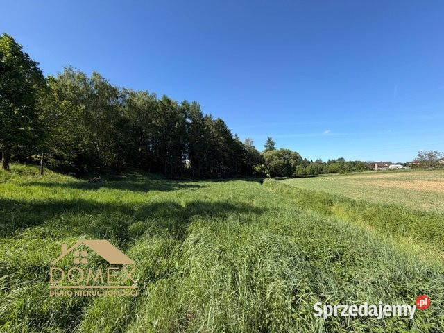 Działka 3373m2 Pogwizdów siedliskowa