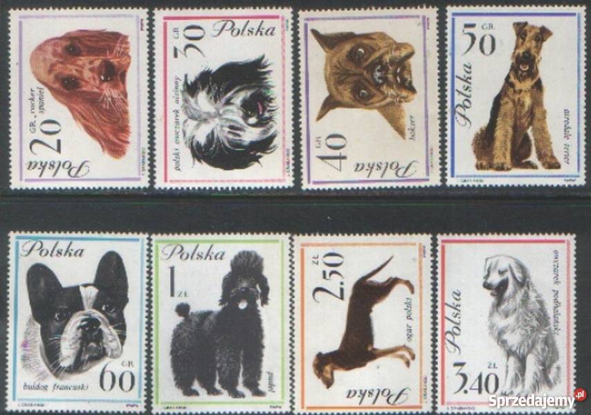 Zn Fi 1226 33 1963 śląskie Gliwice