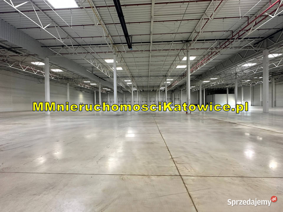 Magazyny 2500 do 23000 m2 Piotrków Trybunalski parking