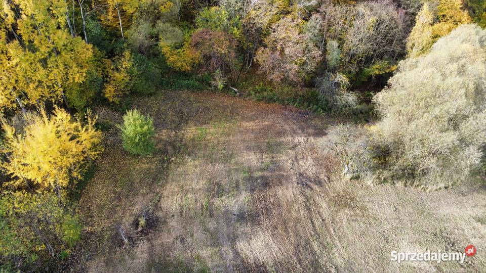 16 ar Wrząsowice Działka budowlana lesie 313zł/m2