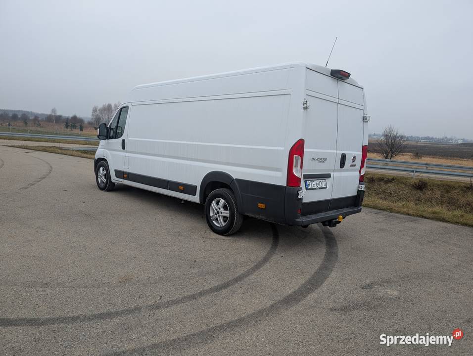 Wynajem busa dostawczaka dostawczy Łąka wynajem pojazdu