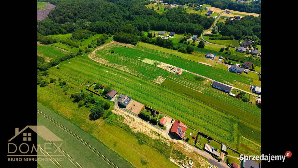 Grunt 7060m2 Skrzyszów Sprzedaż