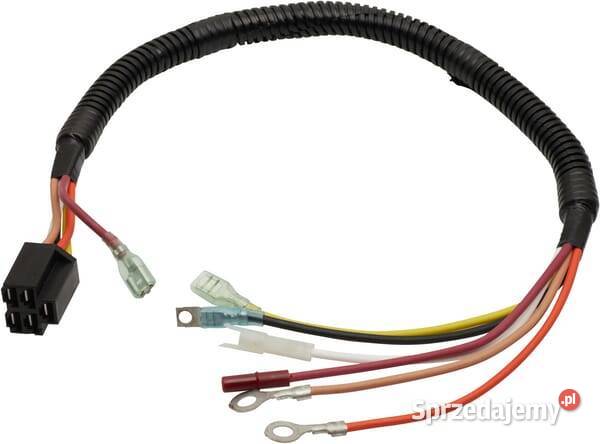 Wiązka przewodów 691996 Kamionna