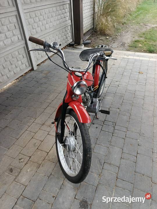 Komar sztywniak nieuszkodzony Parczew