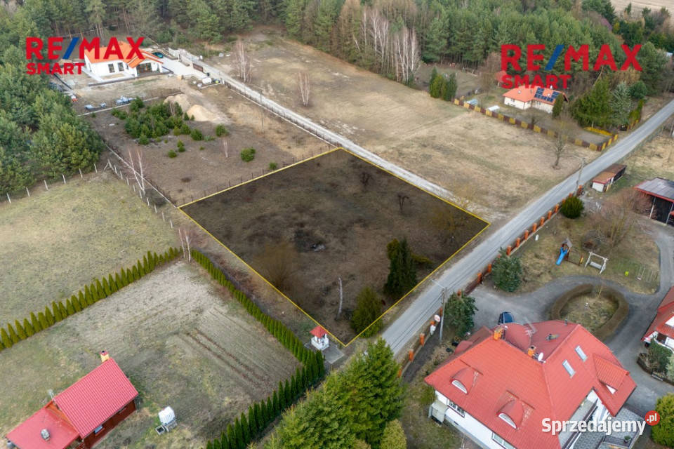 Działka budowlana Przykory gmina Pniewy budowlana sprzedam
