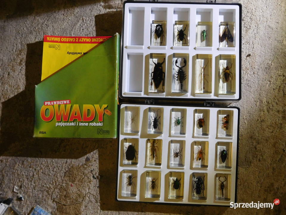 Seria Prawdziwe OWADY gazety Skorpion pająk Kęty
