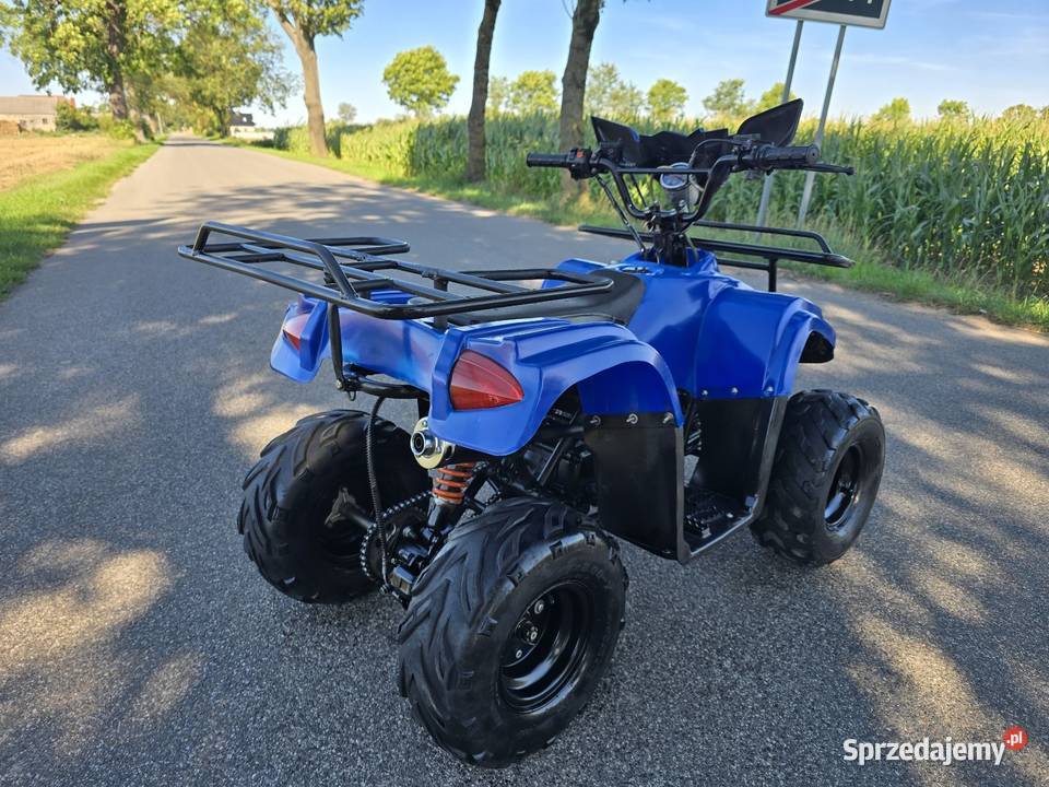 Quad Model Bmw 125cc Automat 11r Stan Pozostałe Kruszwica
