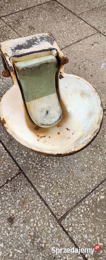 6 Żeliwnezabytkowe poidło zwierzątindustrial Barlinek