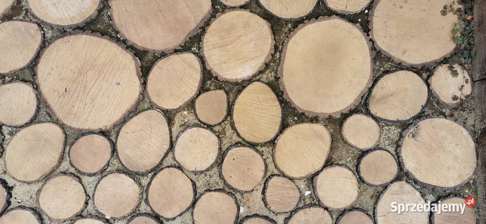 Plastry Drewniane Betonowe Drewno Ozdobne na Pozostałe Gdów