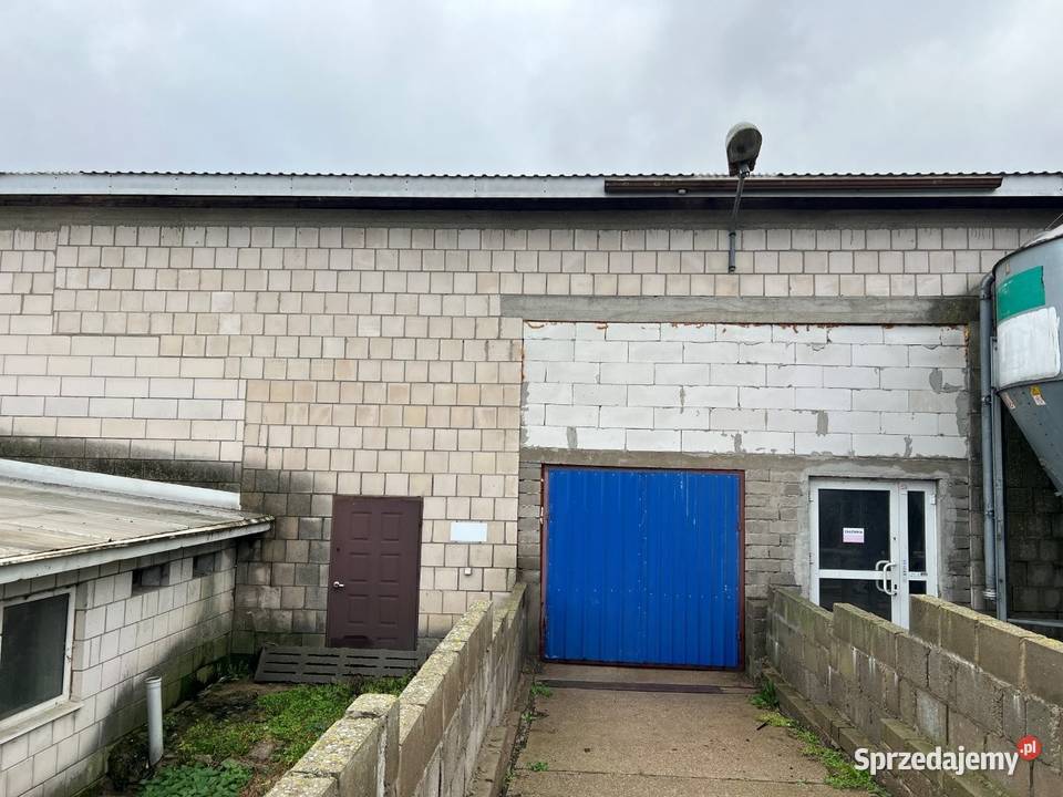 Syndyk sprzeda 12 nieruchomości Cimoszki gm