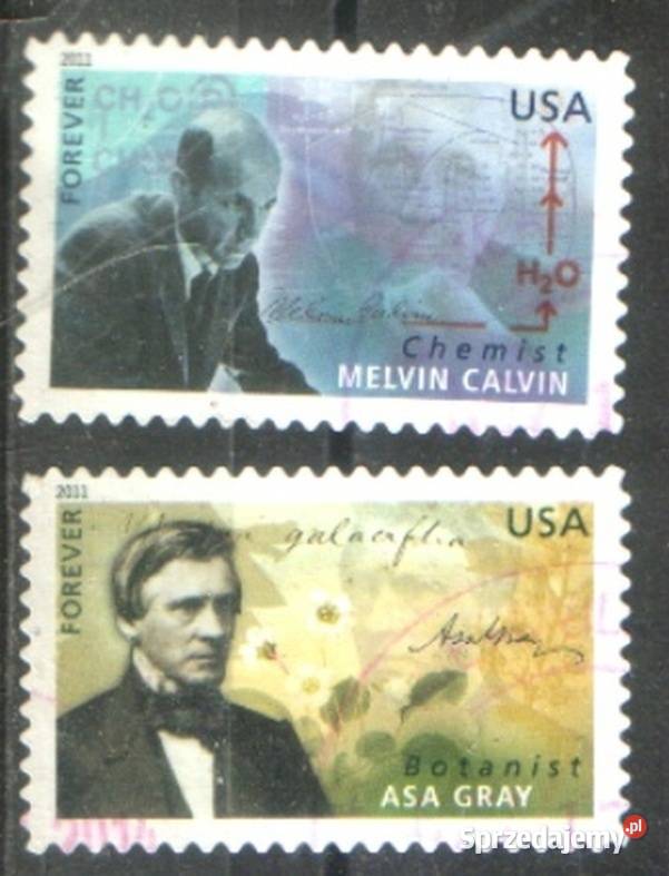 Zn USA Mi wykaz w opisie kas 2011 śląskie