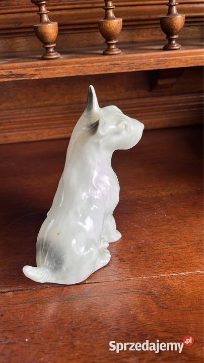 Piesek Figurka porcelanowa Śliczna figurka bez Gdańsk