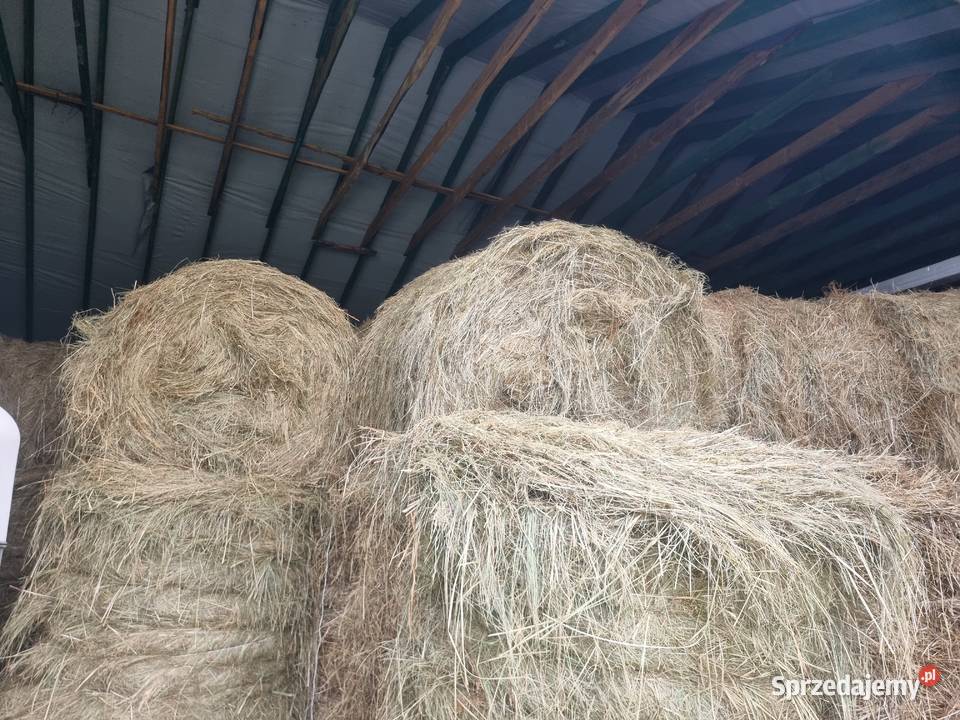 Przyczepa konna 15 konia Firlej sprzedam