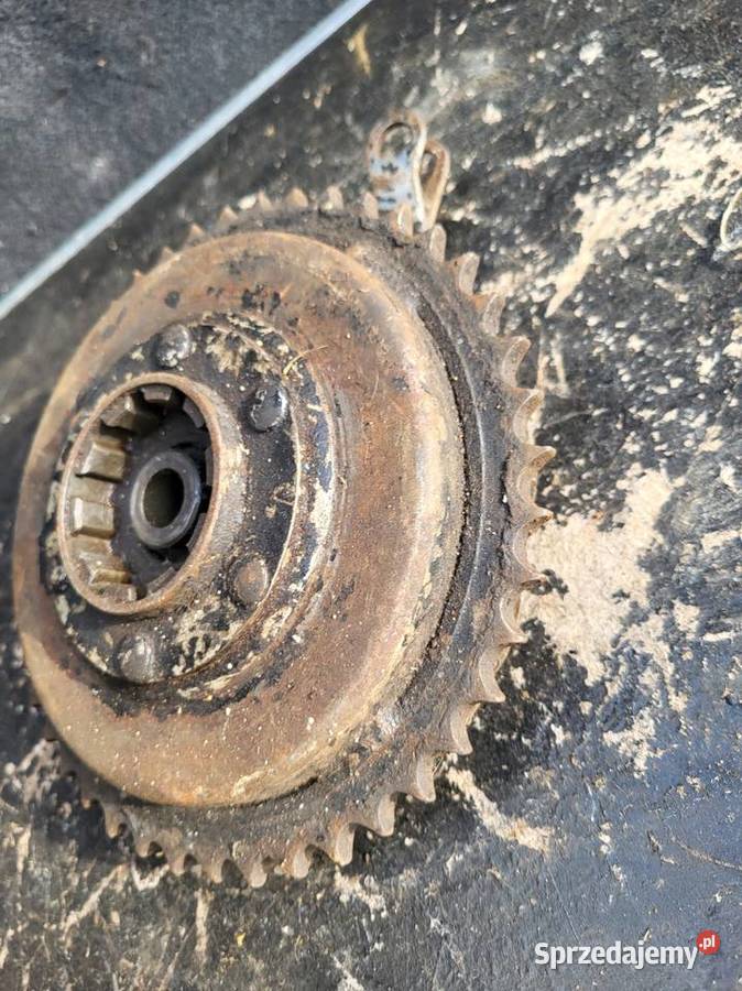 JAWA PERAK HAMULEC ZĘBATKA TARCZA KOTWICZNA