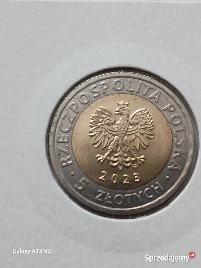 5 Pocysterski klasztor GościkowoParadyż 2023 r Konin sprzedam