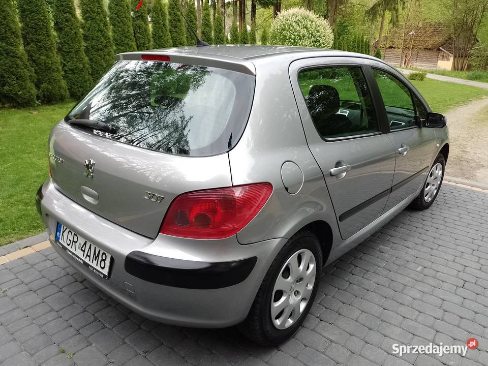Peugeot 307 2005r Benzynka 1400 16V Jasło