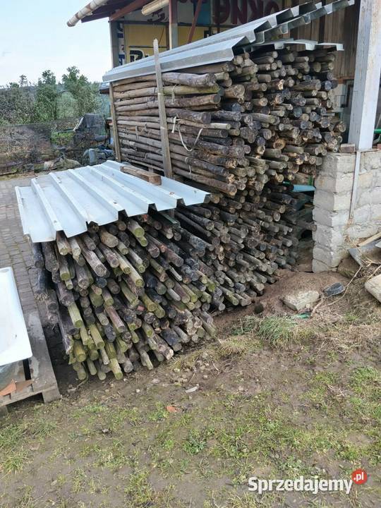 Paliki sadownicze 3m impregnowane Rożki