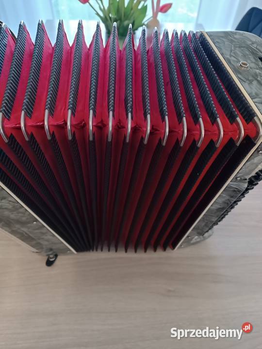 Akordeon victoria 80 basów Pozostałe Ropczyce