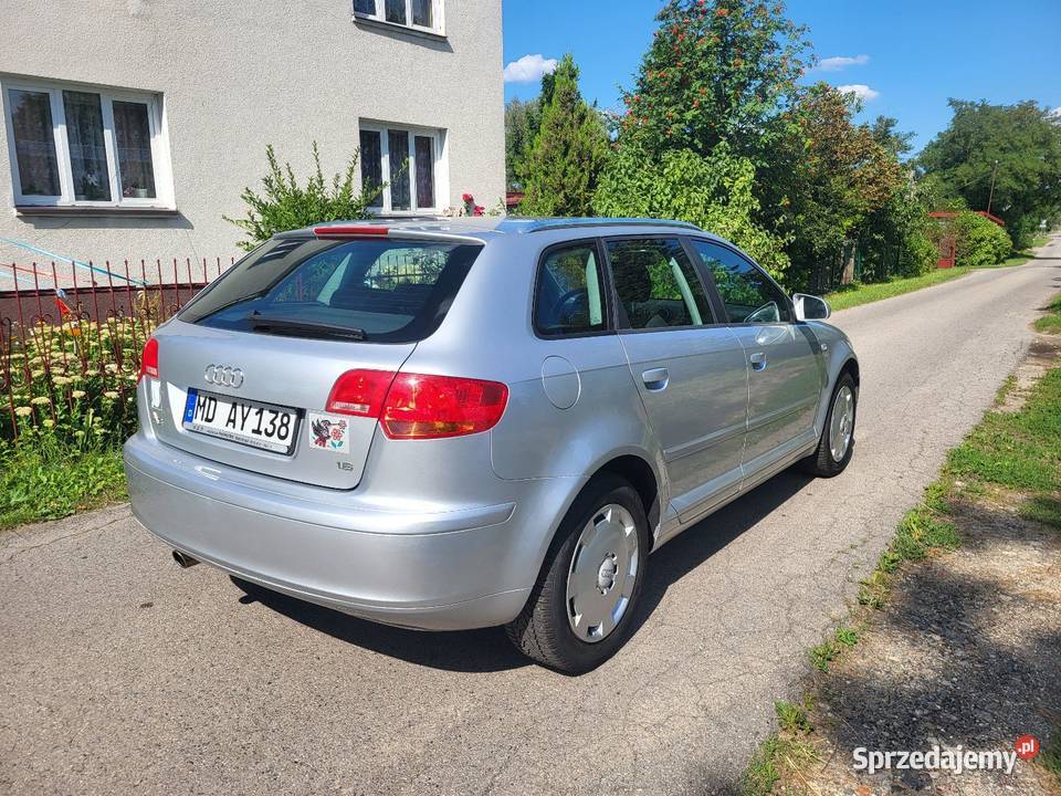 Audi A3 Klima 5d 16mpi Super stan 2007r 102KM Gostynin
