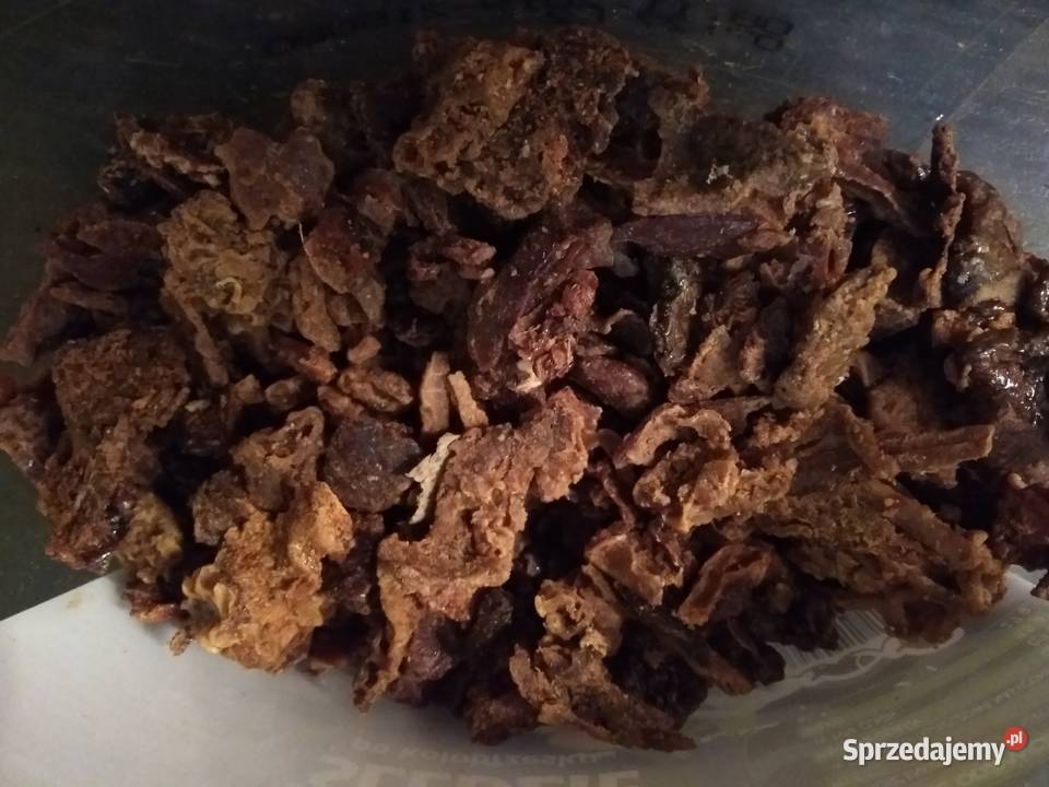 Plaster miodu Miód w plastrach Miód żywyj Ramka Warszawa